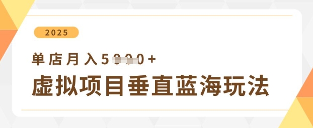 虚拟项目垂直玩法，实现单店月入5k+-爱我搜(25so)资源网