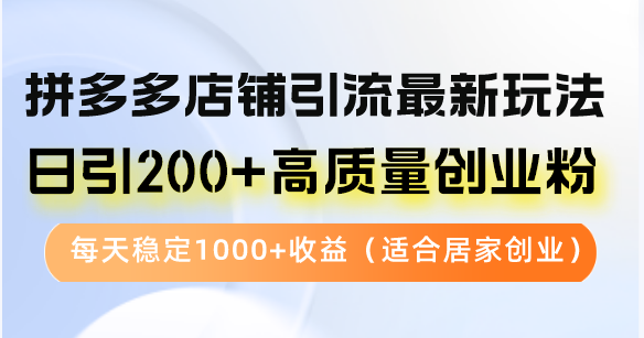 拼多多店铺引流最新玩法，日引200+高质量创业粉，每天稳定1000+收益(…-爱我搜(25so)资源网
