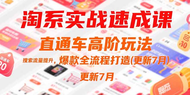 淘系实战速成课，直通车高阶玩法，搜索流量提升，爆款全流程打造(更新7月-爱我搜(25so)资源网