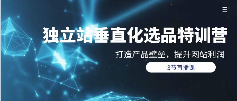 (9925期)独立站-垂直化选品训练营，打造产品壁垒，提升网站利润(3节直播课)-爱我搜(25so)资源网
