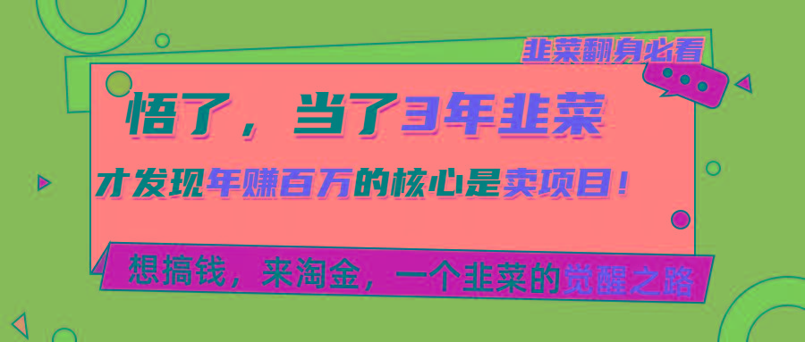 悟了，当了3年韭菜，才发现网赚圈年赚100万的核心是卖项目，含泪分享！-爱我搜(25so)资源网