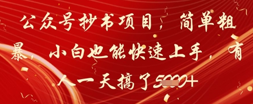 公众号抄书项目，简单粗暴，小白也能快速上手，有人一天搞了1k+-爱我搜(25so)资源网