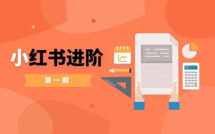 小红书进阶篇，零基础小白实战课，普通人变现的课程-爱我搜(25so)资源网