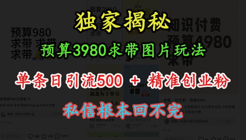 预算3980求带 图片玩法，单条日引流500+精准创业粉，私信根本回不完-爱我搜(25so)资源网
