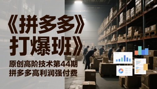 《拼多多打爆班》原创高阶技术第44期，拼多多高利润强付费-爱我搜(25so)资源网