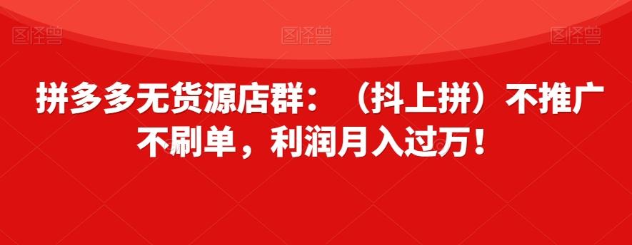 拼多多无货源店群：（抖上拼）不推广不刷单，利润月入过万！【揭秘】-爱我搜(25so)资源网