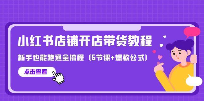 (9883期)最新小红书店铺开店带货教程，新手也能跑通全流程(6节课+爆款公式)-爱我搜(25so)资源网
