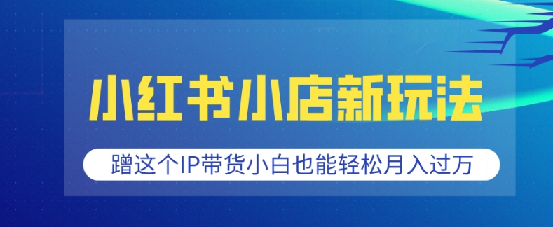 小红书小店新玩法，蹭这个IP带货，小白也能轻松月入过W【揭秘】-爱我搜(25so)资源网