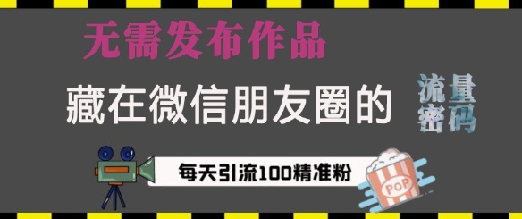 藏在微信朋友圈的流量密码，无需发布作品，单日引流100+精准创业粉【揭秘】-爱我搜(25so)资源网