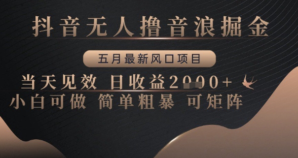 抖音无人撸音浪掘金，五月最新风口项目，当天见效，日收益多张，小白可做简单粗暴可矩阵【揭秘】-爱我搜(25so)资源网
