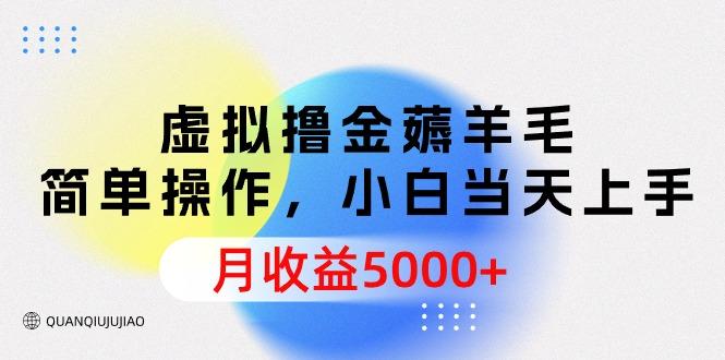 (9864期)虚拟撸金薅羊毛，简单操作，小白当天上手，月收益5000+-爱我搜(25so)资源网