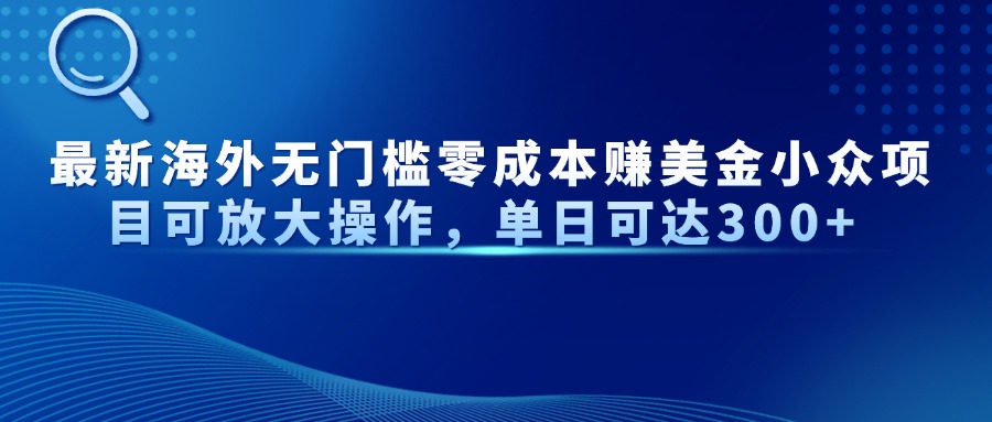 最新海外无门槛零成本赚美金小众项目可放大操作，单日可达300+-爱我搜(25so)资源网
