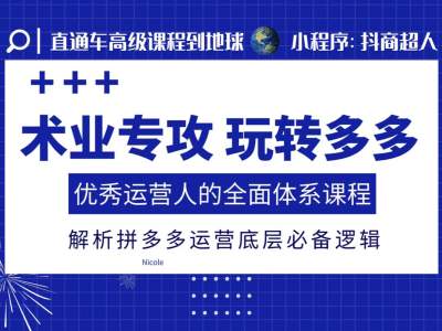 术业专攻玩转多多，优秀运营人的全面体系课程，解析拼多多运营底层必备逻辑-爱我搜(25so)资源网