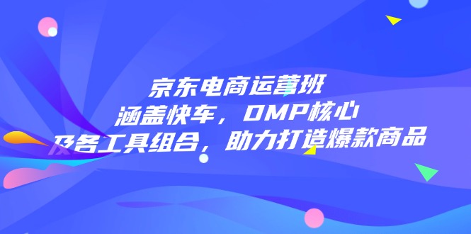 京东电商运营班：涵盖快车，DMP核心及各工具组合，助力打造爆款商品-爱我搜(25so)资源网