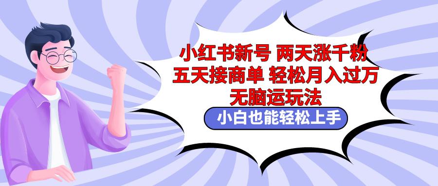 小红书新号两天涨千粉五天接商单轻松月入过万 无脑搬运玩法 小白也能轻…-爱我搜(25so)资源网