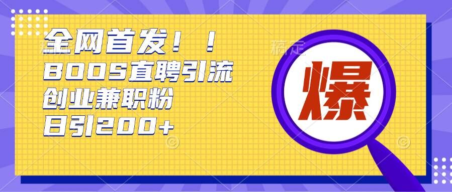 通过Boss直聘，每天轻松钓到200+多条创业大鱼的秘籍【揭秘】-爱我搜(25so)资源网