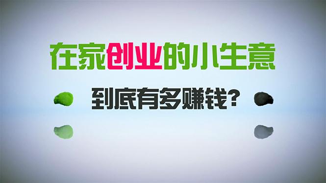在家创业，日引300+创业粉，一年收入30万，闷声发财的小生意，比打工强-爱我搜(25so)资源网