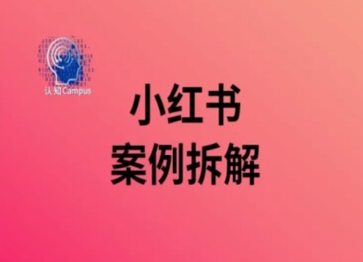 小红书案例拆解，深度解读小红书40万粉-爱我搜(25so)资源网