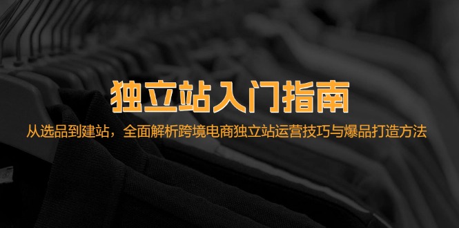 独立站入门指南：从选品到建站，全面解析跨境电商独立站运营技巧与爆品…-爱我搜(25so)资源网