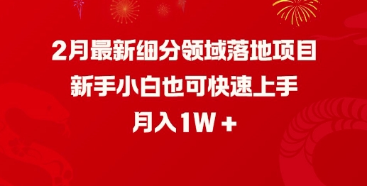 2月最新细分领域落地项目，新手小白也可快速上手，月入1W-爱我搜(25so)资源网