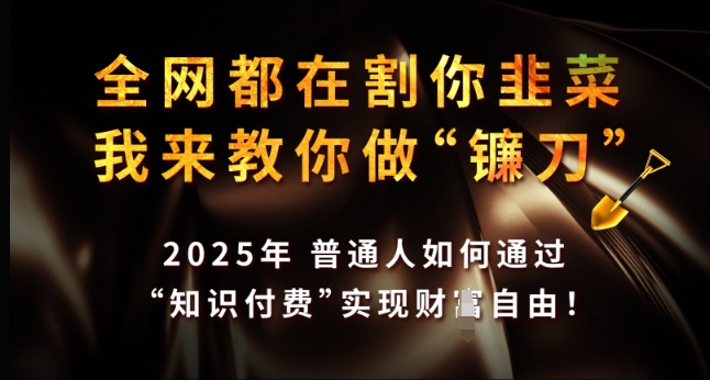 全网都在割你韭菜，我来教你做镰刀，2025年普通人如何通过 知识付费 实现财F自由【揭秘】-爱我搜(25so)资源网
