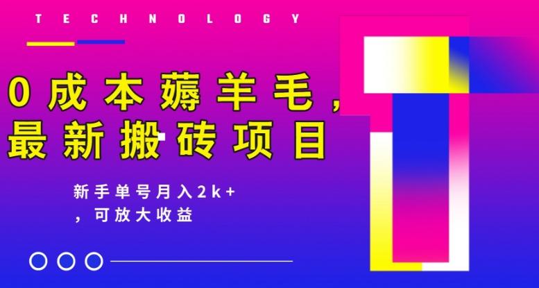 0成本薅羊毛，最新搬砖项目，新手单号月入2k+，可放大操作-爱我搜(25so)资源网