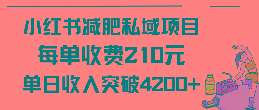 (9466期)小红书减肥私域项目每单收费210元单日成交20单，最高日入4200+-爱我搜(25so)资源网