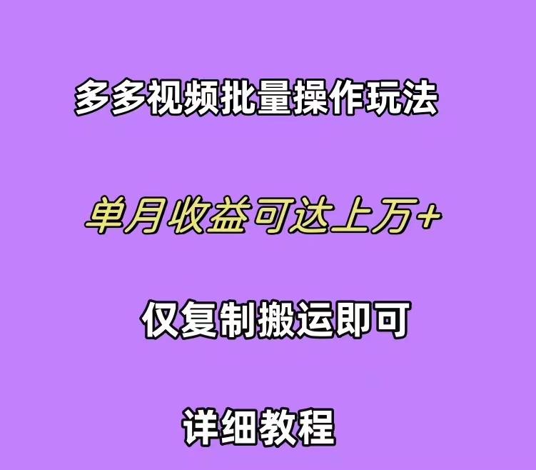 (10029期)拼多多视频带货快速过爆款选品教程 每天轻轻松松赚取三位数佣金 小白必…-爱我搜(25so)资源网