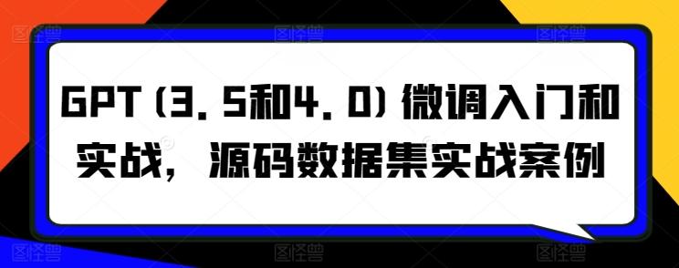 GPT(3.5和4.0)微调入门和实战，源码数据集实战案例-爱我搜(25so)资源网