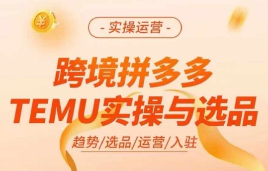 跨境拼多多TEMU实操与选品，多多temu跨境选品运营实操-爱我搜(25so)资源网