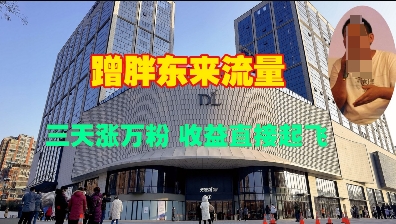 蹭胖东来流量，三天涨万粉，收益直接起飞-爱我搜(25so)资源网