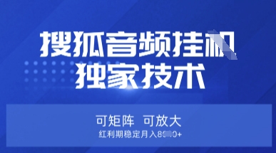 【搜狐音频挂G】独家技术，可矩阵可放大，红利期稳定月入8k【揭秘】-爱我搜(25so)资源网
