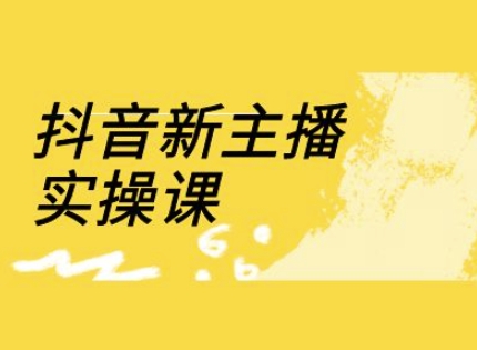抖音新主播实操课，直播间流量运营线上实操课(18节)-爱我搜(25so)资源网