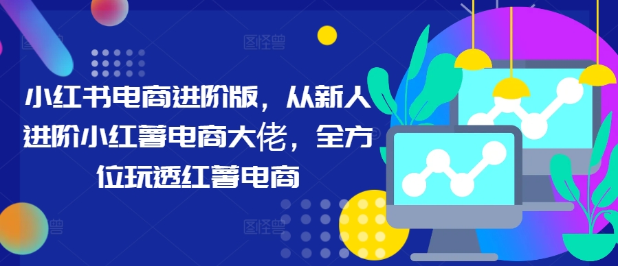 小红书电商进阶版，从新人进阶小红薯电商大佬，全方位玩透红薯电商-爱我搜(25so)资源网