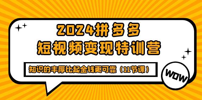 (9817期)2024拼多多短视频变现特训营，知识的丰厚比起金钱更可靠(11节课)-爱我搜(25so)资源网