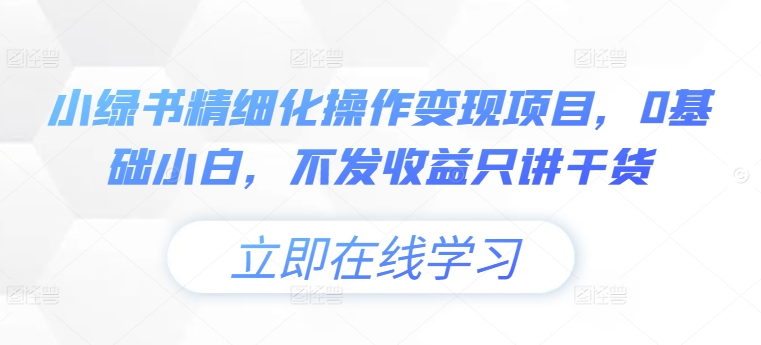 小绿书精细化操作变现项目，0基础小白，不发收益只讲干货-爱我搜(25so)资源网