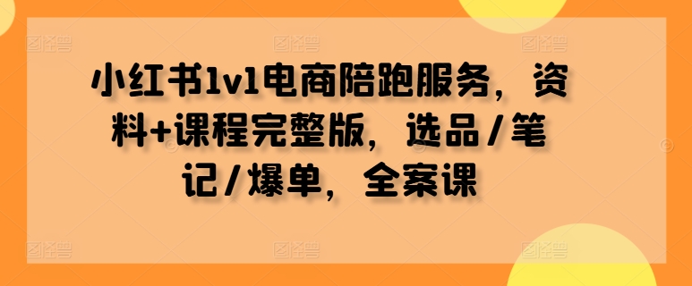 小红书1v1电商陪跑服务，资料+课程完整版，选品/笔记/爆单，全案课-爱我搜(25so)资源网