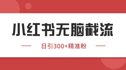 小红书只要你有同行就能获客，独家野路子获客玩法，暴力截流【揭秘】-爱我搜(25so)资源网