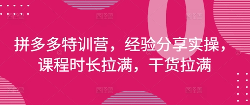 拼多多特训营，经验分享实操，课程时长拉满，干货拉满(更新25年4月)-爱我搜(25so)资源网