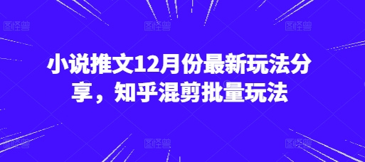 小说推文12月份最新玩法分享，知乎混剪批量玩法-爱我搜(25so)资源网