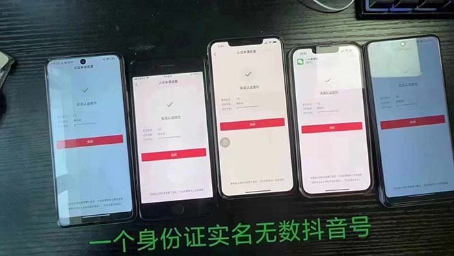 抖音无限实名技术：一个SFZ号码可以十名无数个抖音账号，具体自己实操-爱我搜(25so)资源网
