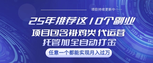 25年推荐这10个副业项目包含褂鸡类、代运营托管类、全自动打金类【揭秘】-爱我搜(25so)资源网