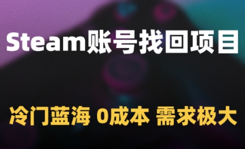 Steam账号找回项目，冷门蓝海，0成本，需求极大-爱我搜(25so)资源网