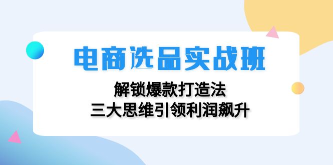 电商选品实战班：解锁爆款打造法，三大思维引领利润飙升-爱我搜(25so)资源网