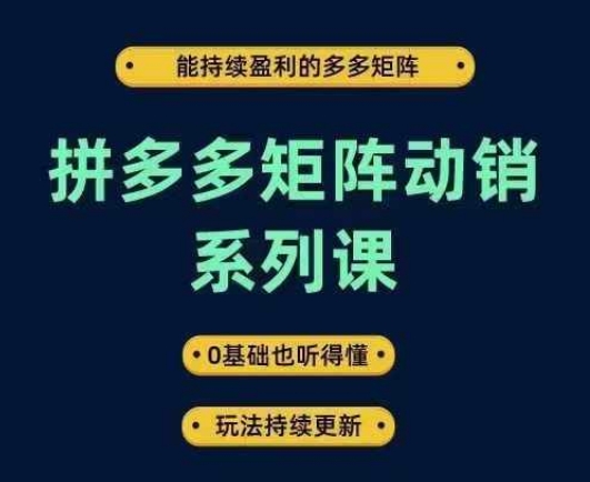 拼多多矩阵动销系列课，能持续盈利的多多矩阵，0基础也听得懂，玩法持续更新-爱我搜(25so)资源网