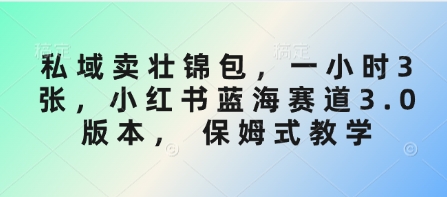 私域卖壮锦包，一小时3张，小红书蓝海赛道3.0版本， 保姆式教学-爱我搜(25so)资源网