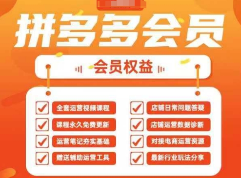 2025拼多多运营实战课，40节全流程教学，覆盖拼多多运营全链路-爱我搜(25so)资源网