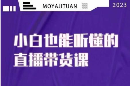 大威本威·能听懂的直播带货课，小白也能听懂，20节完整-爱我搜(25so)资源网