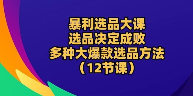 暴利 选品大课：选品决定成败，教你多种大爆款选品方法(12节课-爱我搜(25so)资源网
