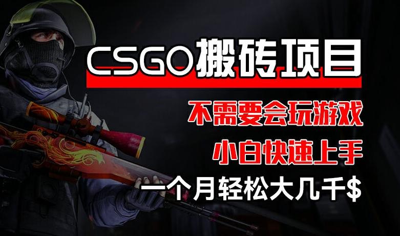 CSGO 装备搬砖项目，操作简单，不需要会玩游戏，小白也能快速上手，一个月轻松大几千【揭秘】-爱我搜(25so)资源网